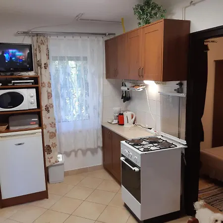 ágnes Igal