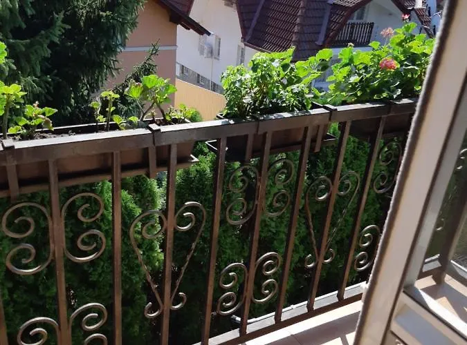 Apartment Agnes